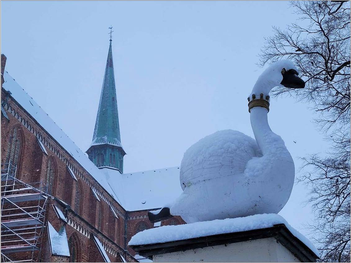 Schwan