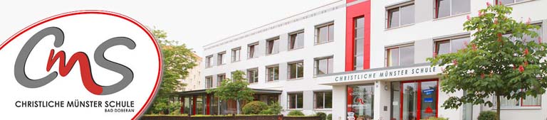 LuebeckerKreuz DetailSchaf