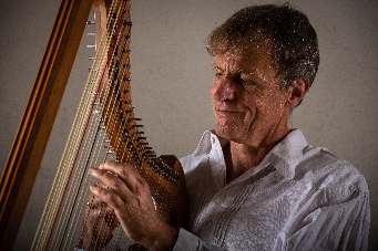 tom daun