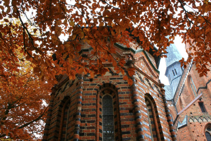 LuebeckerKreuz DetailSchaf